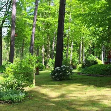 Thuringer Waldbaude *