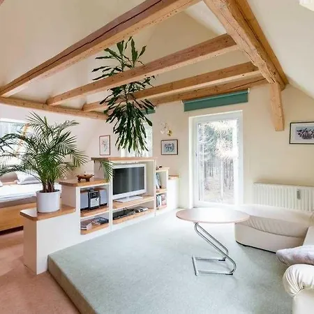 Thuringer Waldbaude *