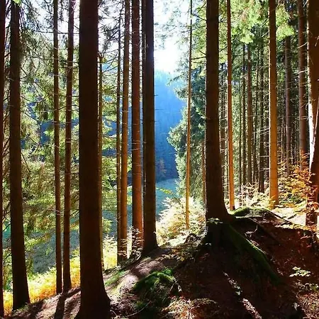 Thuringer Waldbaude