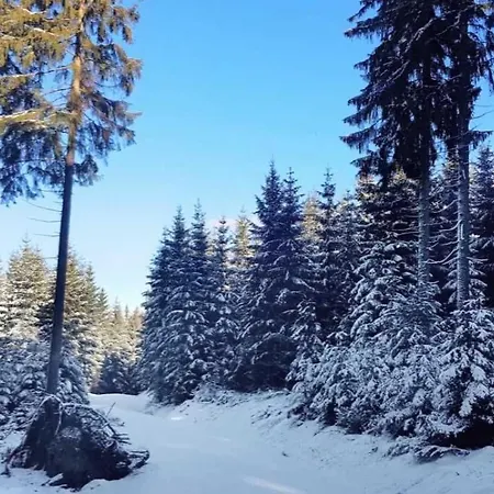 Thuringer Waldbaude * Tambach-Dietharz