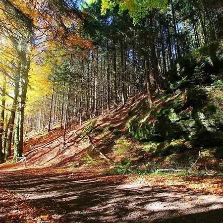 Thuringer Waldbaude Privatunterkunft
