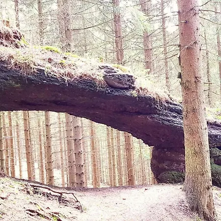 Thuringer Waldbaude Privatunterkunft Tambach-Dietharz